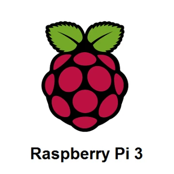 Raspberry
