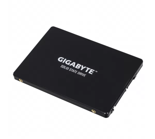 SSD диск 256GB GIGABYTE Client SSD GP-GSTFS31256GTND