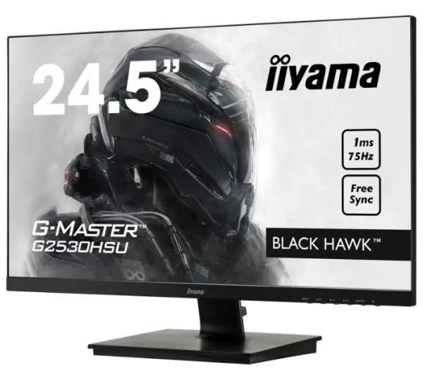 Монитор iiyama G-MASTER G2530HSU-B1 Black