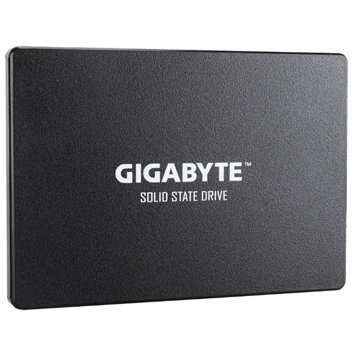 120GB Gigabyte GP-GSTFS31120GNTD