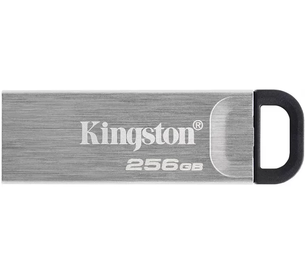 Флешка 256Gb Kingston KYSON (DTKN/256GB)