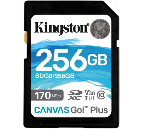 Карта памяти SD 256Gb Kingston Canvas Go Plus SDG3/256GB (170/90 MB/s)